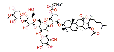 Cucumarioside H7